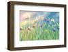 Cornflower Meadow-Claire Westwood-Framed Premium Giclee Print