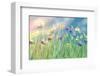 Cornflower Meadow-Claire Westwood-Framed Premium Giclee Print