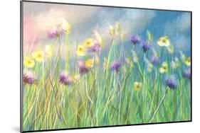 Cornflower Meadow-Claire Westwood-Mounted Art Print