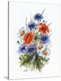 Cornflower, Poppy and Ox-Eye Daisy-Nell Hill-Stretched Canvas