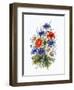 Cornflower, Poppy and Ox-Eye Daisy-Nell Hill-Framed Giclee Print