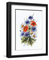 Cornflower, Poppy and Ox-Eye Daisy-Nell Hill-Framed Giclee Print