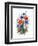 Cornflower, Poppy and Ox-Eye Daisy-Nell Hill-Framed Giclee Print