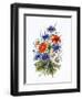 Cornflower, Poppy and Ox-Eye Daisy-Nell Hill-Framed Giclee Print