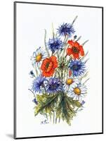 Cornflower, Poppy and Ox-Eye Daisy-Nell Hill-Mounted Giclee Print