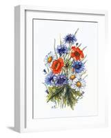 Cornflower, Poppy and Ox-Eye Daisy-Nell Hill-Framed Giclee Print