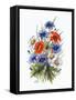 Cornflower, Poppy and Ox-Eye Daisy-Nell Hill-Framed Stretched Canvas