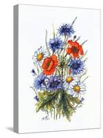 Cornflower, Poppy and Ox-Eye Daisy-Nell Hill-Stretched Canvas