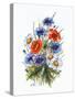 Cornflower, Poppy and Ox-Eye Daisy-Nell Hill-Stretched Canvas