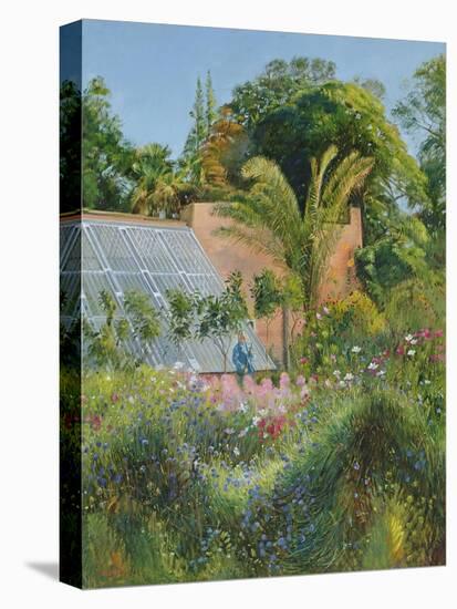 Cornflower Waves at Heligan-Timothy Easton-Stretched Canvas
