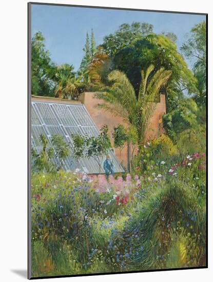 Cornflower Waves at Heligan-Timothy Easton-Mounted Giclee Print