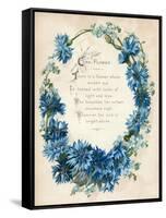 Cornflower-null-Framed Stretched Canvas