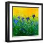 Cornflowers field-Pol Ledent-Framed Art Print