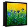 Cornflowers field-Pol Ledent-Framed Stretched Canvas