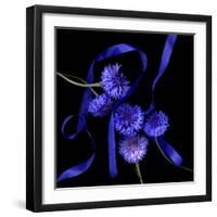 cornflowers-Magda Indigo-Framed Photographic Print