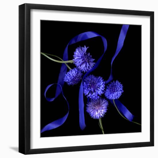 cornflowers-Magda Indigo-Framed Photographic Print