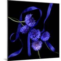 cornflowers-Magda Indigo-Mounted Photographic Print