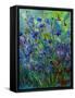 Cornflowers-Pol Ledent-Framed Stretched Canvas