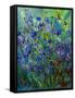 Cornflowers-Pol Ledent-Framed Stretched Canvas