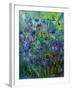 Cornflowers-Pol Ledent-Framed Art Print