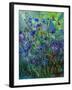 Cornflowers-Pol Ledent-Framed Art Print