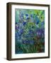 Cornflowers-Pol Ledent-Framed Art Print