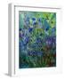 Cornflowers-Pol Ledent-Framed Art Print