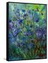 Cornflowers-Pol Ledent-Framed Stretched Canvas