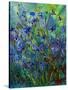 Cornflowers-Pol Ledent-Stretched Canvas