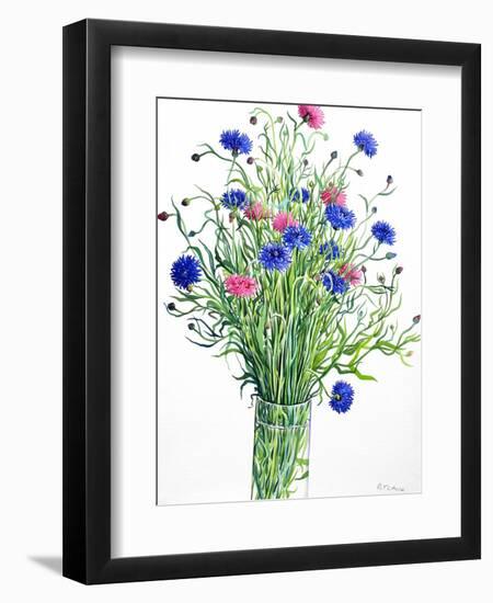 Cornflowers-Christopher Ryland-Framed Giclee Print