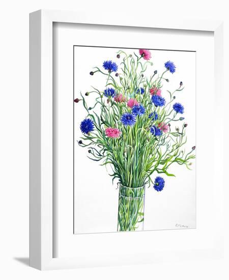 Cornflowers-Christopher Ryland-Framed Giclee Print