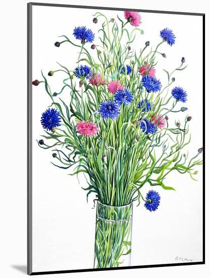 Cornflowers-Christopher Ryland-Mounted Giclee Print