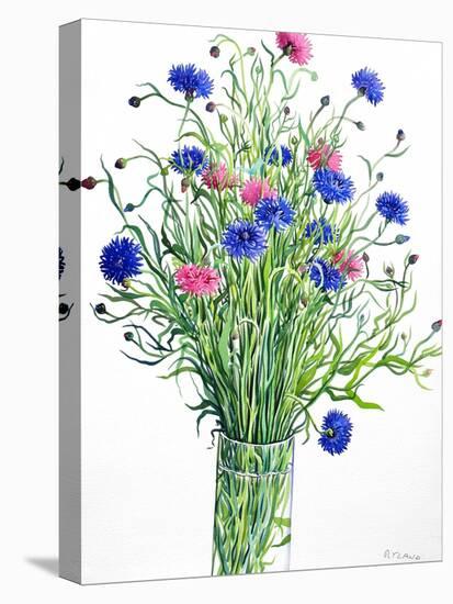 Cornflowers-Christopher Ryland-Stretched Canvas