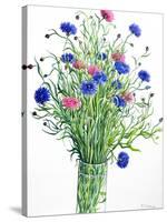 Cornflowers-Christopher Ryland-Stretched Canvas