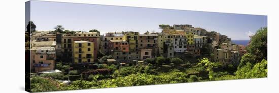 Corniglia Panorama, Cinque Terre, Liguria, Italy-George Oze-Stretched Canvas
