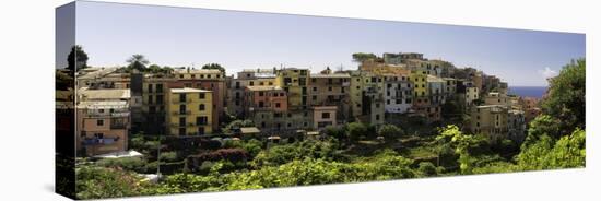 Corniglia Panorama, Cinque Terre, Liguria, Italy-George Oze-Stretched Canvas