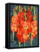 Cornish Gladioli, 2006-Deborah Barton-Framed Stretched Canvas