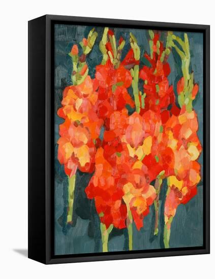 Cornish Gladioli, 2006-Deborah Barton-Framed Stretched Canvas