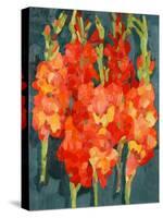 Cornish Gladioli, 2006-Deborah Barton-Stretched Canvas