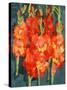 Cornish Gladioli, 2006-Deborah Barton-Stretched Canvas