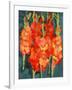 Cornish Gladioli, 2006-Deborah Barton-Framed Giclee Print