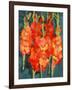 Cornish Gladioli, 2006-Deborah Barton-Framed Giclee Print