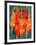 Cornish Gladioli, 2006-Deborah Barton-Framed Giclee Print