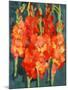 Cornish Gladioli, 2006-Deborah Barton-Mounted Giclee Print