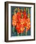 Cornish Gladioli, 2006-Deborah Barton-Framed Premium Giclee Print