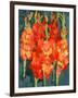 Cornish Gladioli, 2006-Deborah Barton-Framed Premium Giclee Print