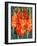 Cornish Gladioli, 2006-Deborah Barton-Framed Giclee Print