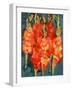 Cornish Gladioli, 2006-Deborah Barton-Framed Giclee Print