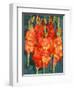 Cornish Gladioli, 2006-Deborah Barton-Framed Giclee Print