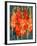 Cornish Gladioli, 2006-Deborah Barton-Framed Giclee Print